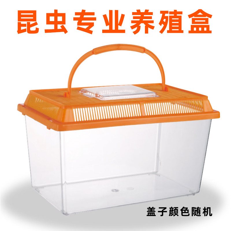 活体爬宠养殖盒杜比亚樱桃蟑螂面包虫黄粉虫大麦虫树蛙宠物饲养箱