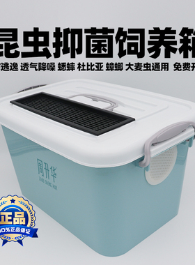 昆虫饲养箱白蟋蟀油葫芦蛐蛐杜比亚樱桃蟑螂大麦虫面包虫大养殖盒