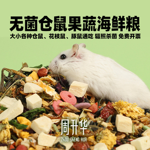 仓鼠粮小荷兰猪jr蜜袋鼯比利时食fp五谷海鲜粮果蔬面包虫冻干试吃