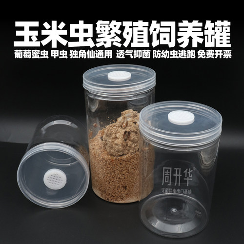 玉米虫饲养罐葡萄蜜虫甲虫养殖盒