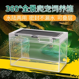 爬宠亚克力缸饲养盒箱大号活物鬃狮蜥蜴睫角守宫角蛙树蛙蛇乌龟盒