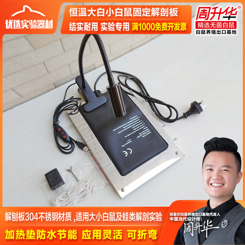 恒温大小鼠解剖板固定板实验器材