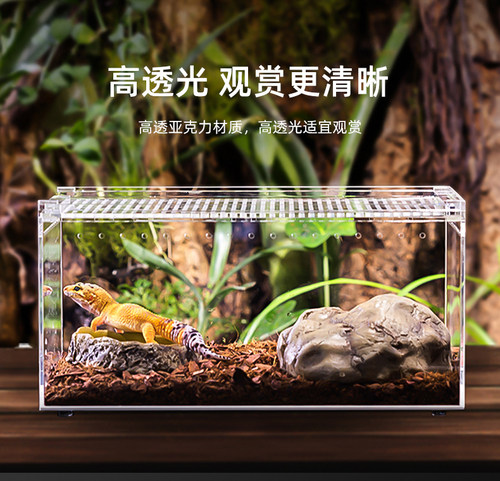 爬宠饲养盒树蛙蛇乌龟螳螂睫角守宫角蛙鬃狮蛛大中小迷你号养殖箱 - 封面