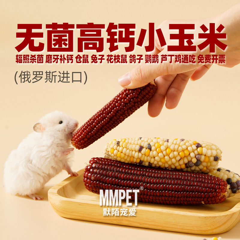 仓鼠磨牙棒玉米彩色迷你小玉米金丝熊花枝鼠刺猬芦丁鸡鸽子鹦鹉粮