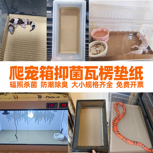 瓦楞纸爬宠垫材蛇守宫a6a4a3垫纸