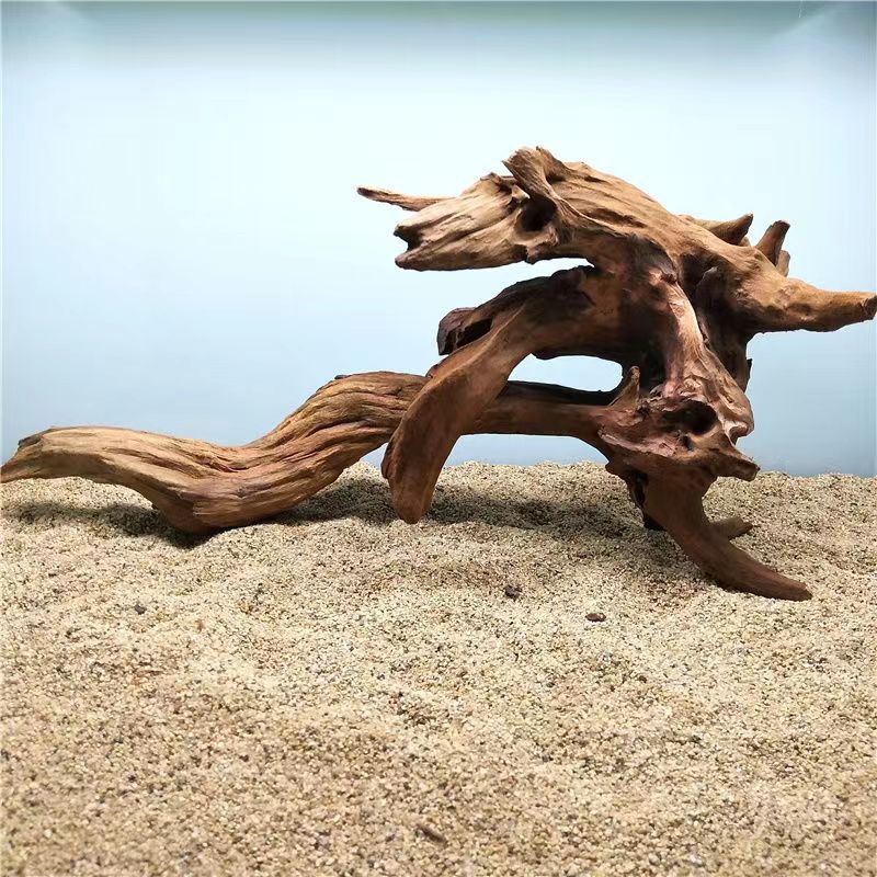 爬宠造景沉木树根鬃狮守宫蛙攀爬