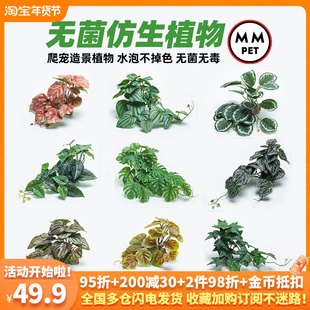 爬宠无菌仿真植物造景雨林缸树蛙角蛙陆龟蜥蜴睫角守宫饲养箱装 饰