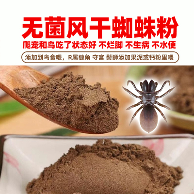 蜘蛛粉睫角守宫画眉百灵红定鸟粮
