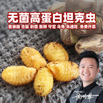 食品级杨拉罐坦克虫活虫蜜袋鼯树角蛙睫角守宫鬃狮乌龟鸟仓鼠粮食