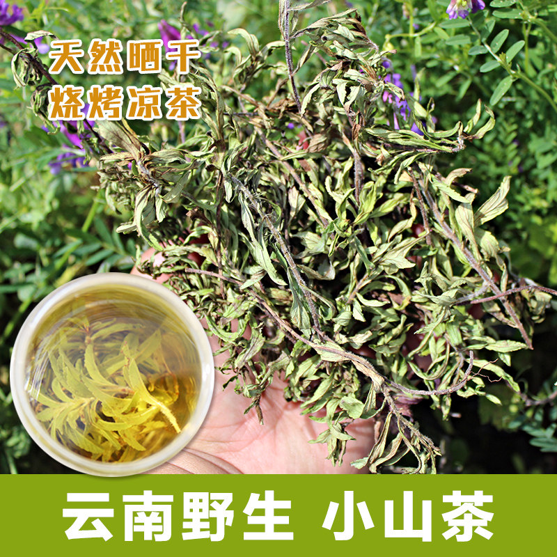 云南野生小山茶山茶晒干烧烤喝凉茶回甘东紫苏梭罗茶