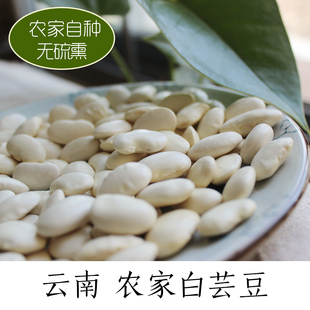 2014年新货云南哀牢山白芸豆杂粮高原种植大白豆养生粥1kg