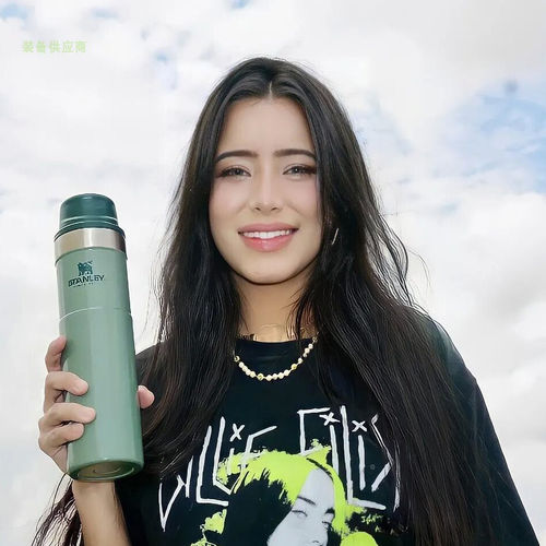 STANLEY双层真空隔热茶杯