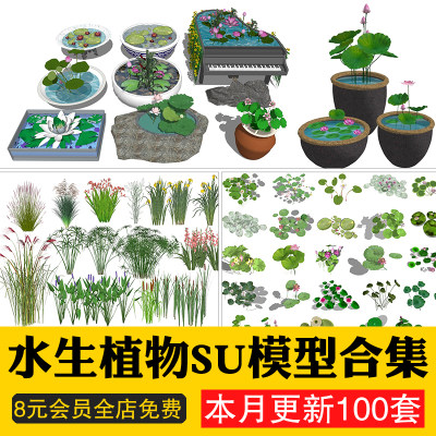 水生植物su模型滨水公园池塘睡莲生态湿地鱼池荷花荷草本草图大师