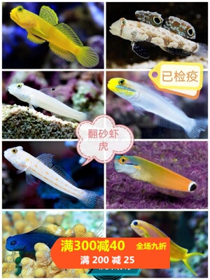 哨兵吓唬四驱车贝拉金剪刀白虾