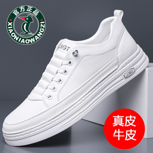100%全牛皮欧伦啄木鸟秋季新款男士真皮运动休闲板鞋透气小白鞋男
