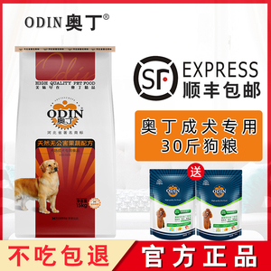 奥丁通用型边牧阿拉斯加金毛成犬