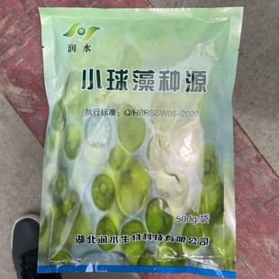 润水小球藻种源水产养殖鱼药硅藻绿藻肥水培藻鱼虾蟹塘复合藻种