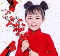 В общей сложности около 90 см в красной сливе цветет