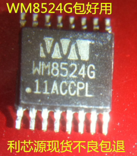 WM8524G TSSOP16 音频芯片 现货保证