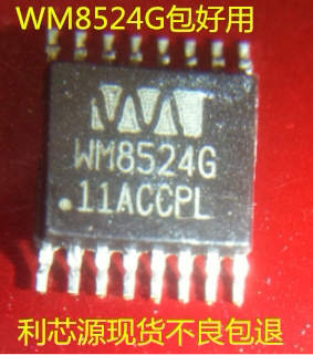 WM8524G TSSOP16 音频芯片 现货保证