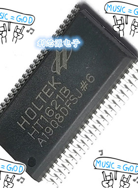 HT1621B LCD液晶驱动器芯片贴片SSOP48长期现货