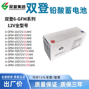 直流屏 100发电厂铁路 通信电厂UPS专用 GFM 双登12V100Ah蓄电池6