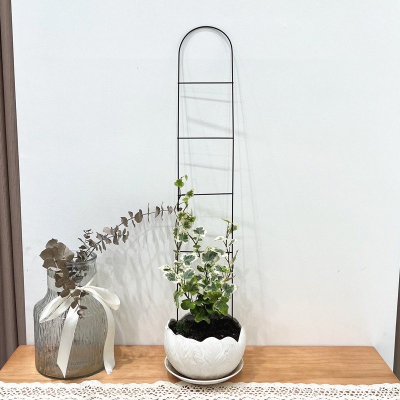 山乌龟爬藤架铁线莲花架