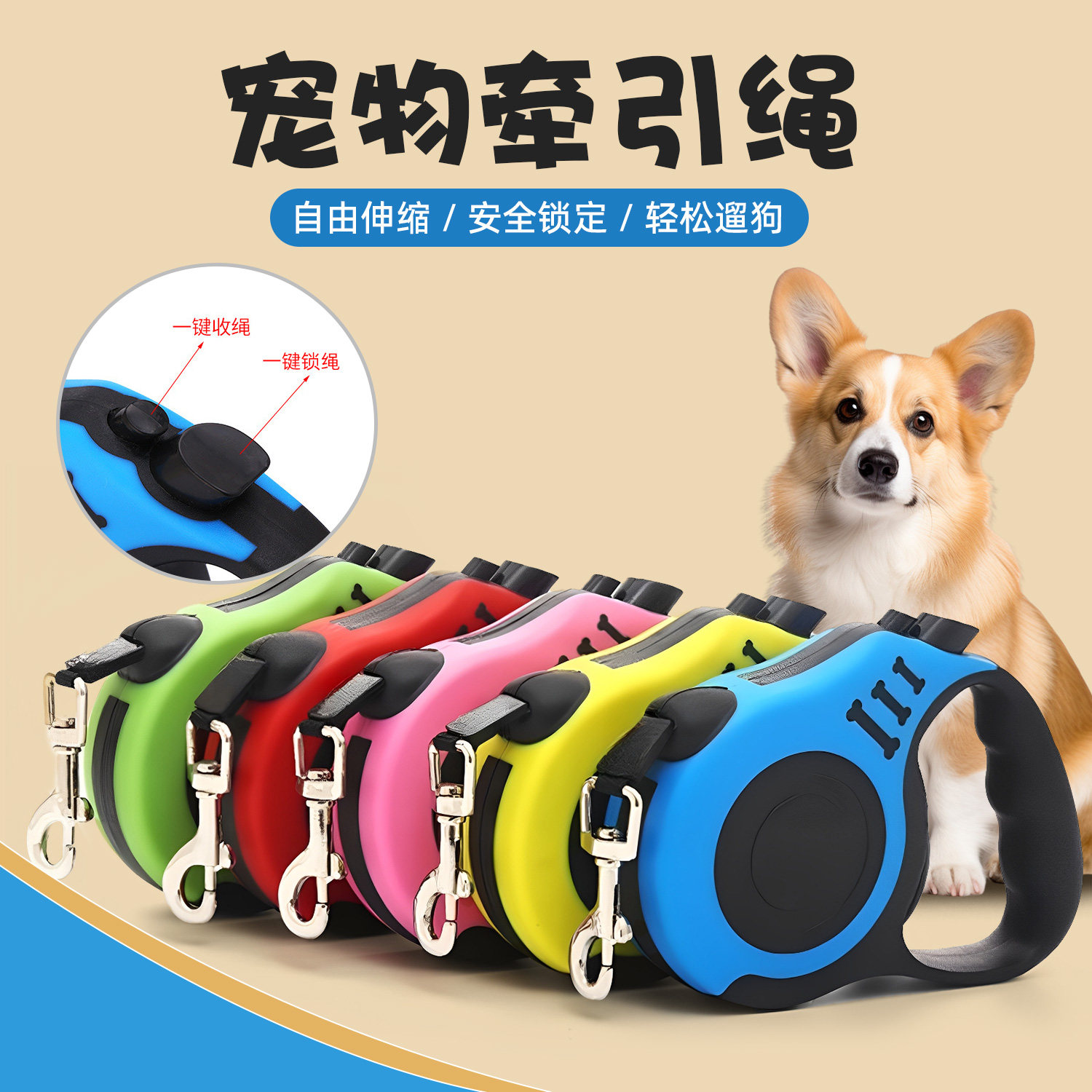 宠物牵引绳可伸缩小型犬自动伸缩