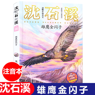 雄鹰金闪子 注音版 动物小说大王沈石溪著 6-8-10周岁一二年级小学生课外阅读书籍儿童故事书语文班主任 阅读书目 正版书籍