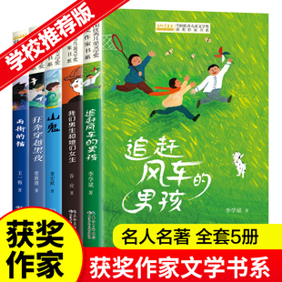 全国优秀儿童文学获奖作家书系C版【全5册】雨街的猫 追赶风车的男孩 山鬼 狂奔穿越黑夜 我们男生和她们女生 三四五年级小学生课