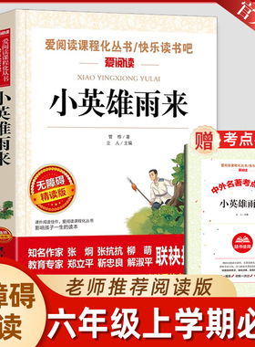 正版书籍小英雄雨来四年级下册课外书必读老师推荐正版小学语文课本同步拓展阅读统编教材配套红色经典小英雄抗日革命爱国主义教育