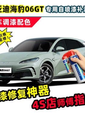 比亚迪海豹06GT补漆笔汽车专用自喷漆亚特兰蒂斯灰风卷草绿色车漆