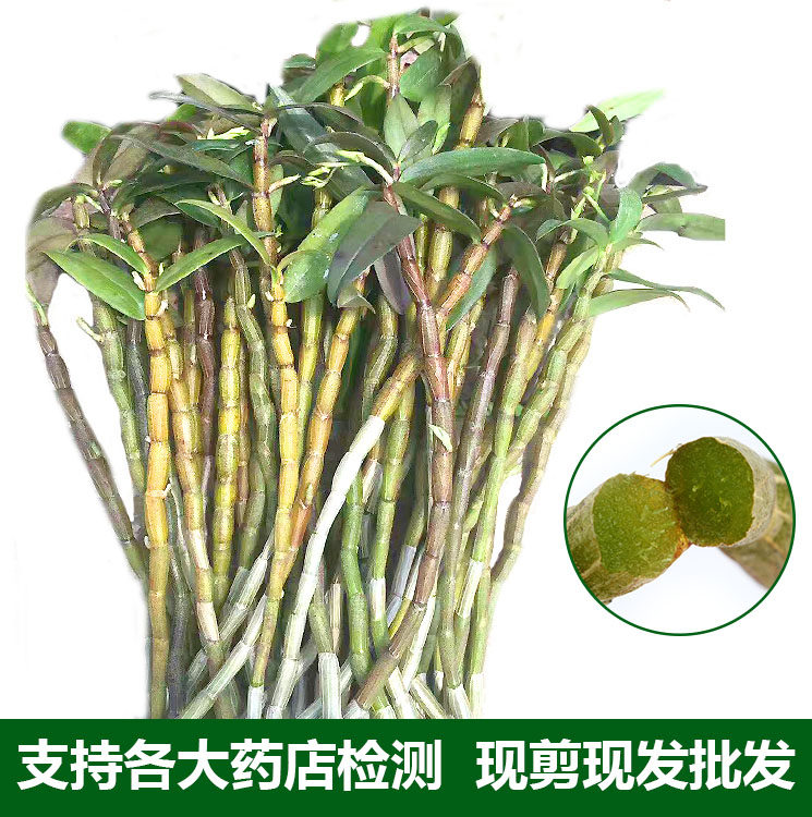 雁荡山铁皮石斛鲜条五年生产地现发 500g 包邮浙江鲜条