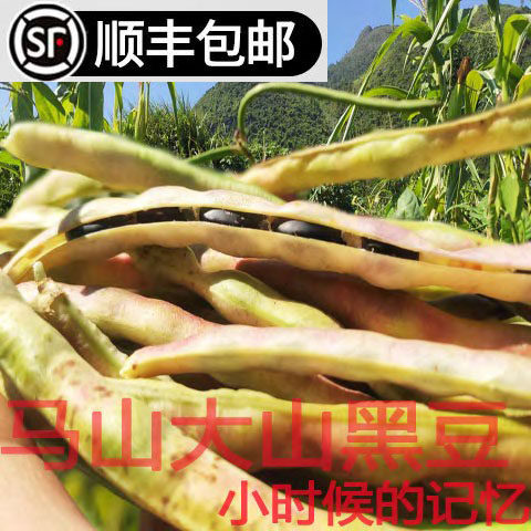 黄花菜种苗庭院四季种植图片