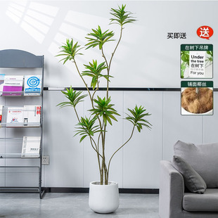 仿真百合竹高档绿植室内客厅大型盆栽假植物大型仿生绿植造景装 饰