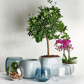 简约摆设 玻璃水果缸 聚宝盆 土耳其NUDE努德 小鱼缸 花瓶