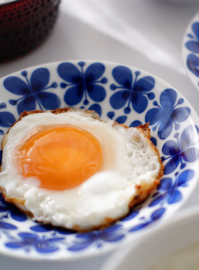 瑞典Rorstrand蓝色经典蝴蝶兰 进口日本早餐复古风平盘成人碗