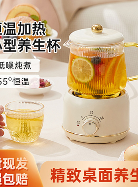 养生壶办公室小型mini煮茶器家用多功能花茶迷你电炖杯1人温奶器