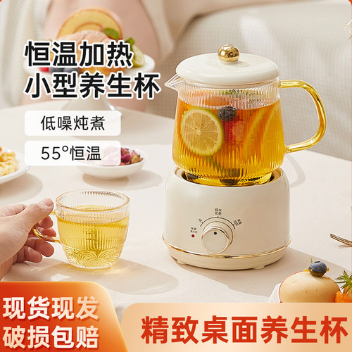 玻璃养生壶花茶壶新款煮茶器一人