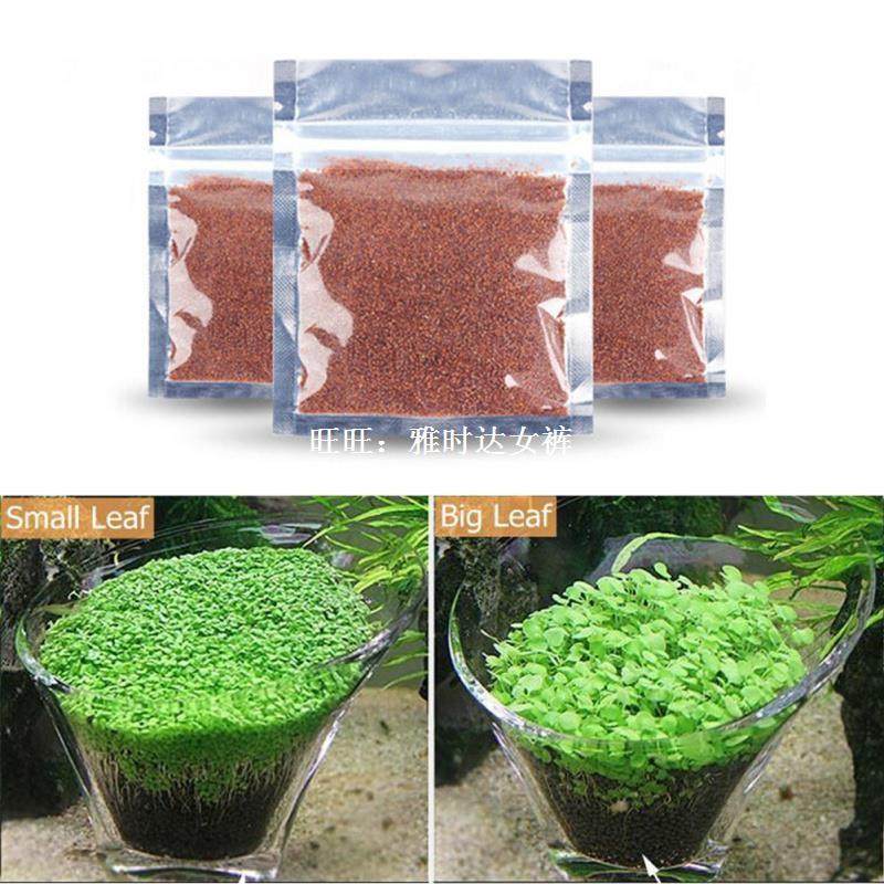 aquarium seeds water grass mini leaf live plant fish tank de