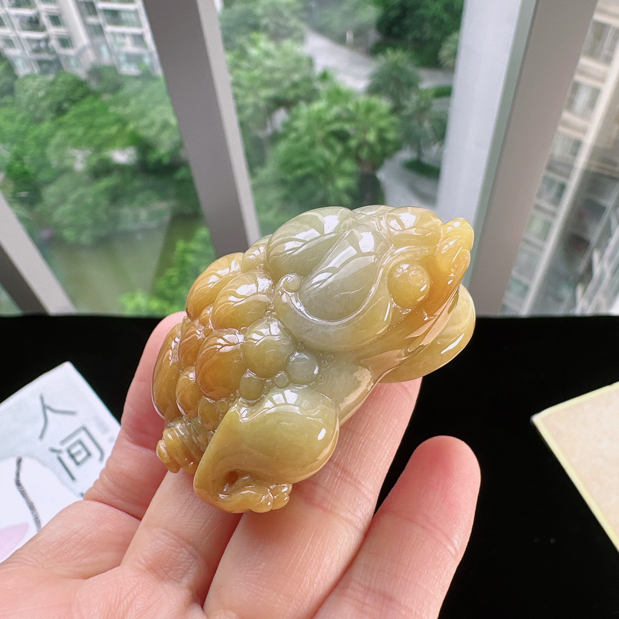 天然缅甸A货翡翠黄翡招财金蟾小摆件小玩件