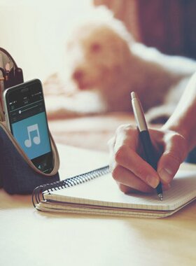 日本SONIC索尼克立式笔袋2019年日本文具大赏获奖产品 限量上市