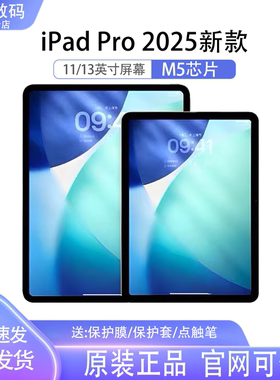 Apple/苹果 11 英寸 iPad Pro (2025)