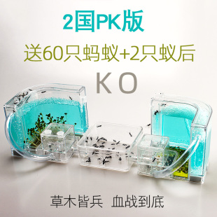 二个蚂蚁城堡配2个蚁后群对打 工坊家园庄园别墅农场王国 会打仗