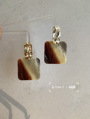 Toxic F ｜有毒植物 手工醋酸原创渐变方块气质耳环