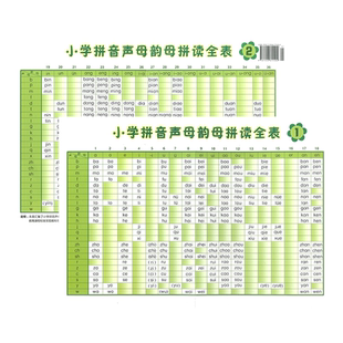 小学拼音声母韵母拼读全表 浙江教育出版社 小学入学准备儿童声母韵母整体认读音节贴墙小学生拼音字母表墙贴拼音拼读训练挂图全套