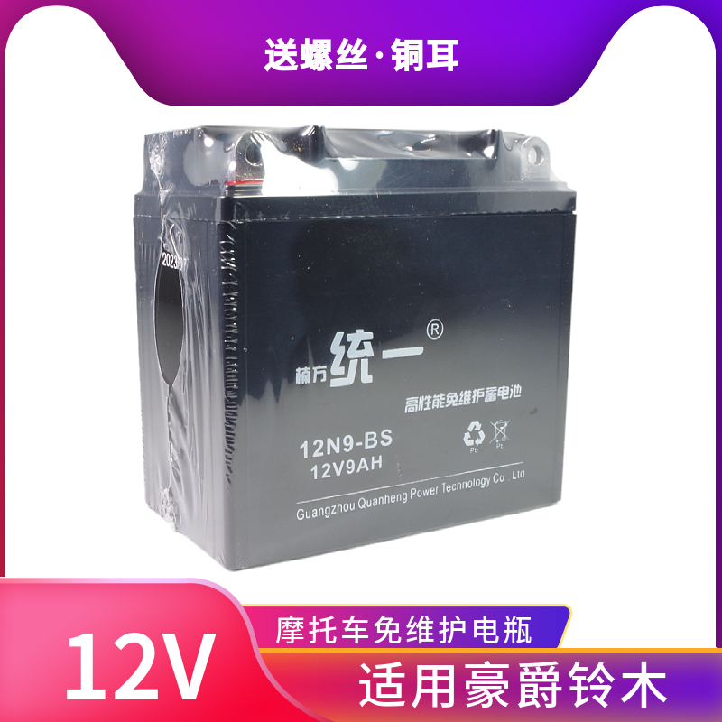 大阳大运摩托车干电瓶12v5ah免维护干电池125鬼火踏板车110弯梁车