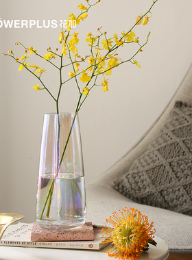 FlowerPlus花加极光暖岛花瓶同款现代简约风格创意插花器玻璃摆件