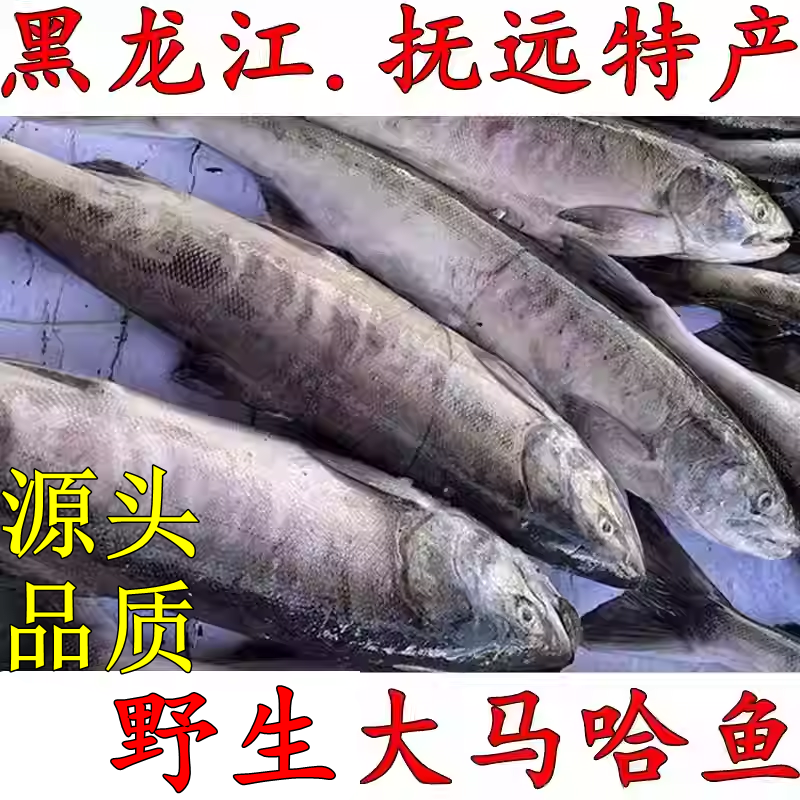 大马哈鱼黑龙江特产抚远鲜活速冻整条冷冻东北天然洄游鱼,水产肉类/新鲜蔬果/熟食,淡水鱼类,淘宝优惠券,粉丝福利购,淘宝优惠卷