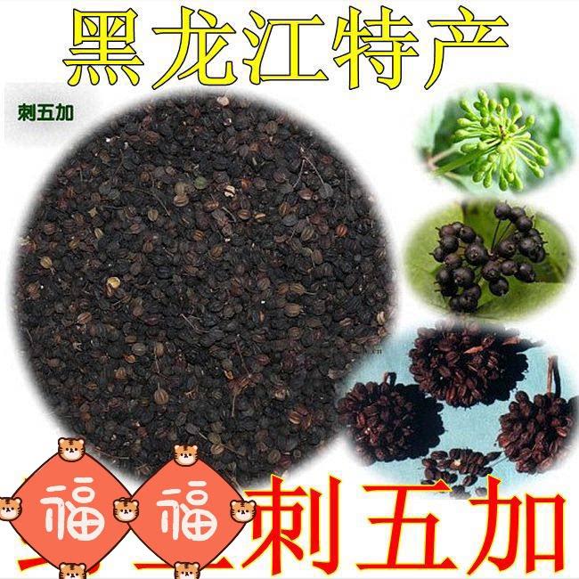 刺五加 刺五加籽刺五加果刺五加茶黑龙江特产